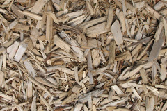 biomass boilers Chaddlewood